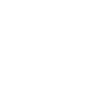 City of Marion, South Carolina
